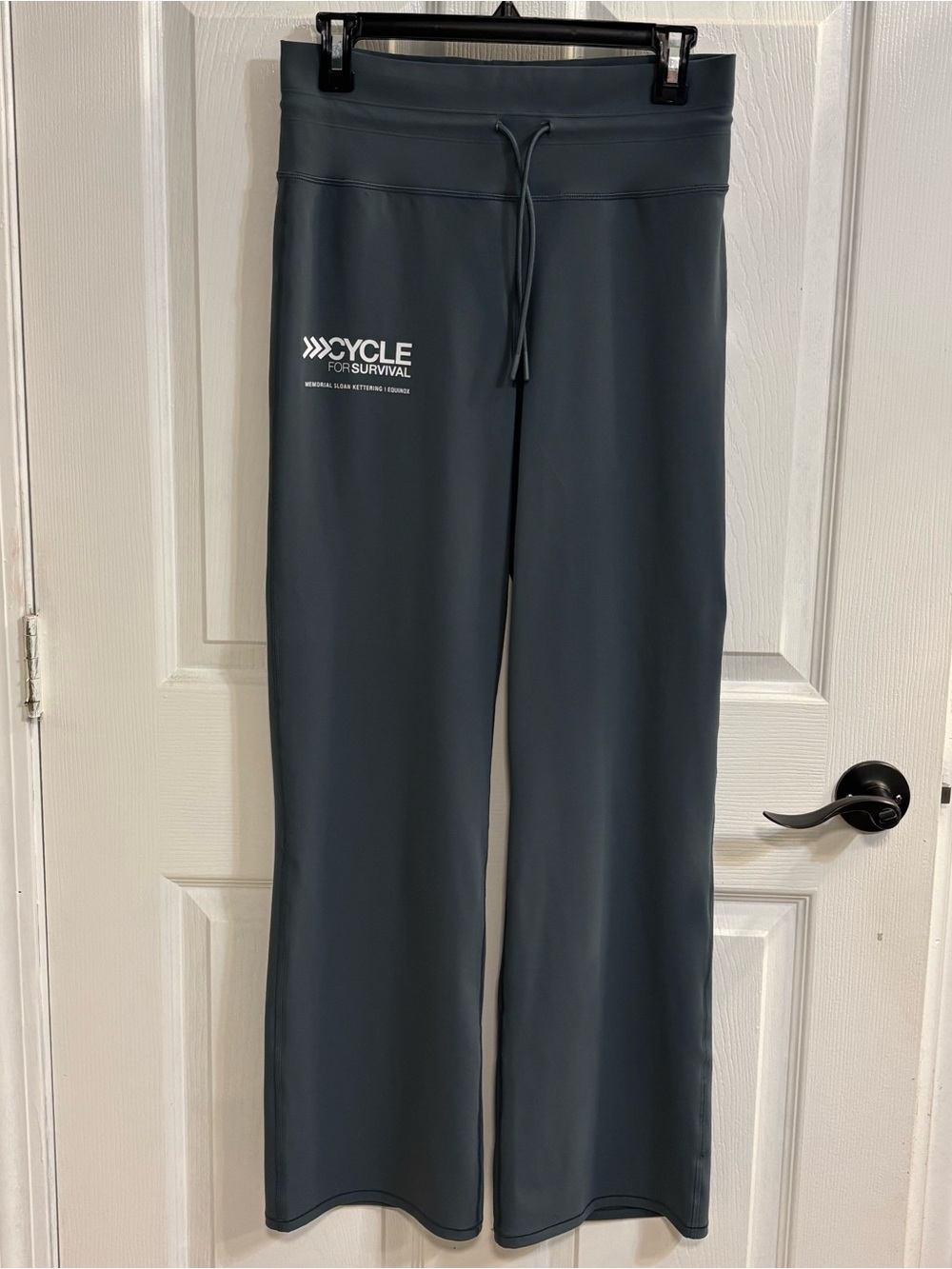 Vuori Daily Wideleg Pants Womens M Slate Blue Cycle for Survival MSK Equinox